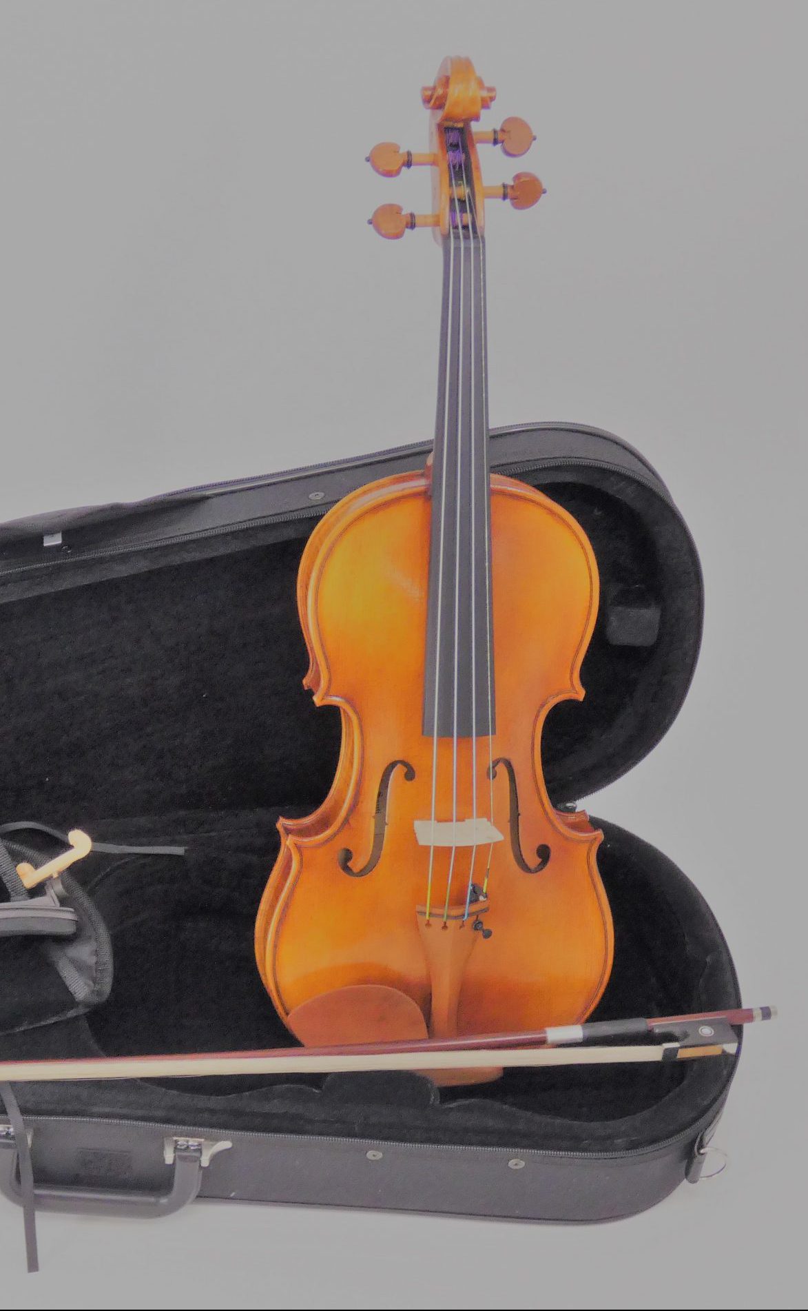 ヴィオラ viola 弦楽器 線 dominant - 弦楽器