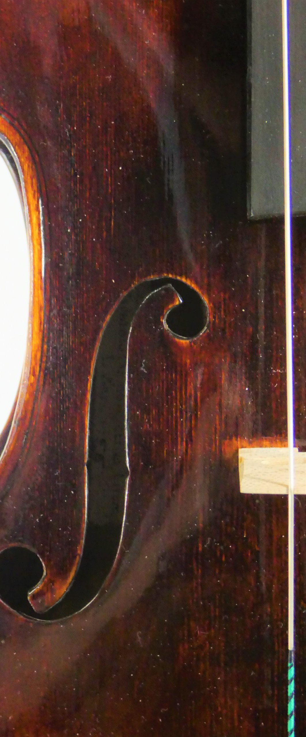 Old Wiener Stadlmann School Viola Ca10 50 2 0 000 Fumi S Violin Shop横浜 東神奈川駅前 弦楽器販売 製作 修理 調整 毛替